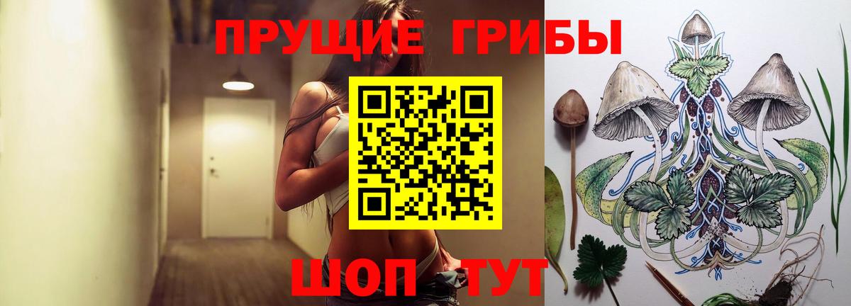 Александров  Галлюциногенные грибы ЛСД  Вход с VPN  Псилоцибиновые грибы GOLDEN TEACHER 